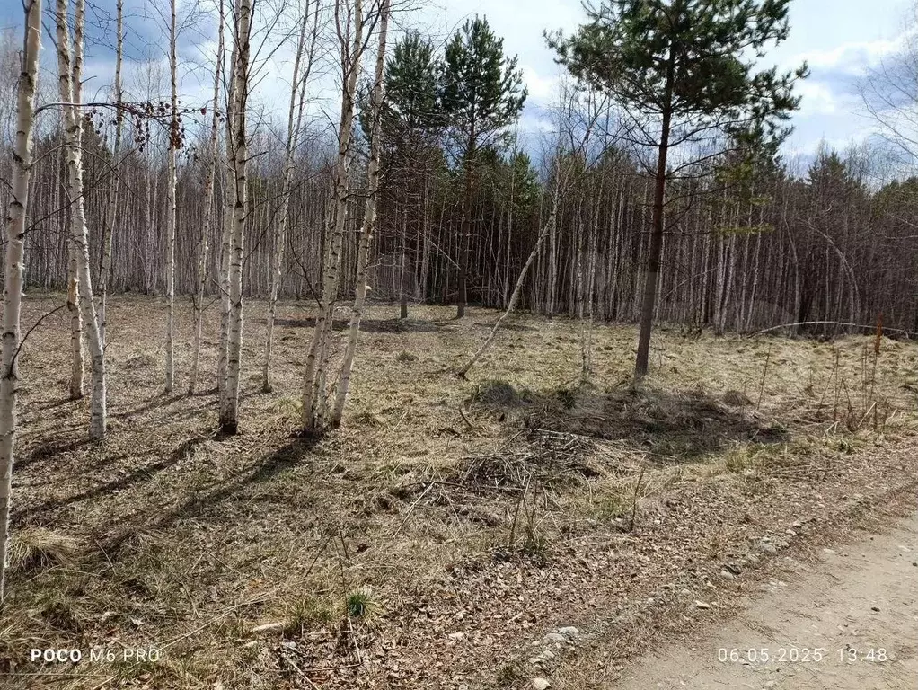 Участок 8 сот. (ИЖС) - Фото 1