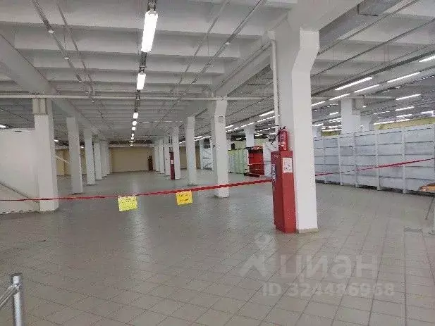 Помещение свободного назначения в Орловская область, Орел Пищевой ... - Фото 2