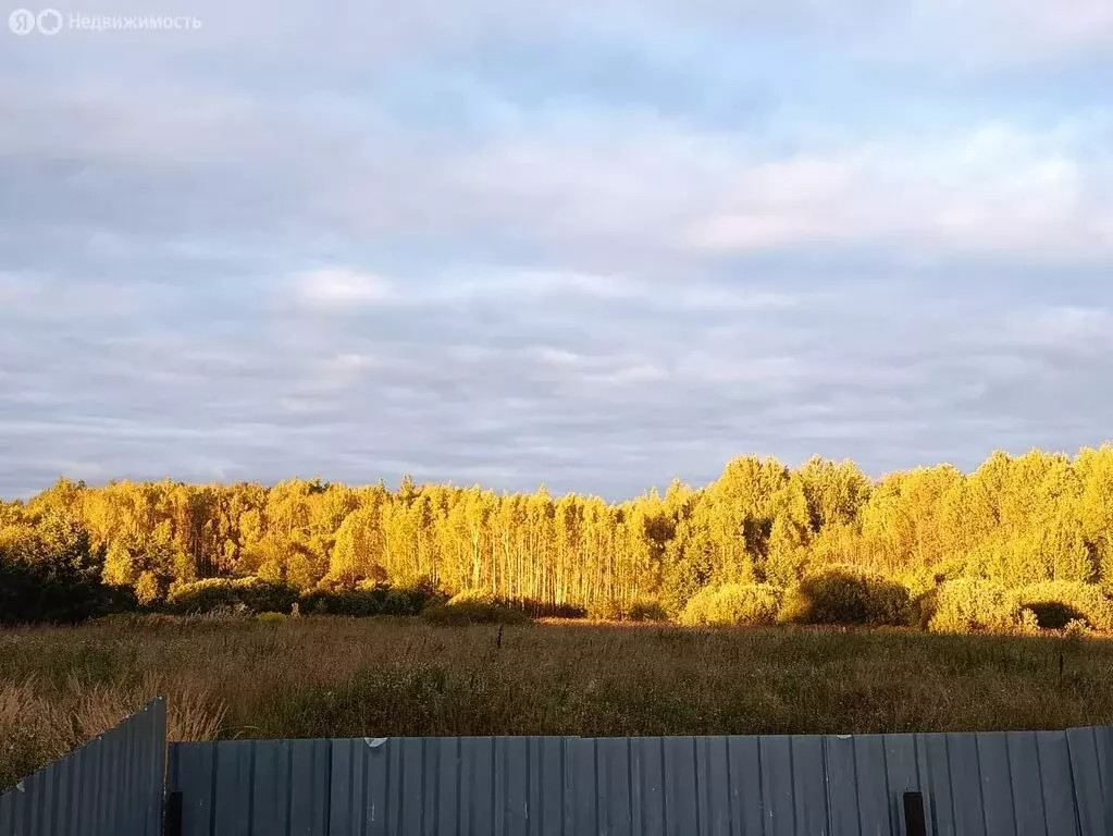 Дом в Владимирская область, Судогодский муниципальный округ, деревня ... - Фото 1
