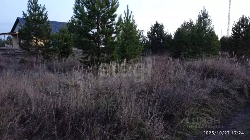 Участок в Курганская область, Шадринск Проектная ул., 27А (721.0 сот.) - Фото 1