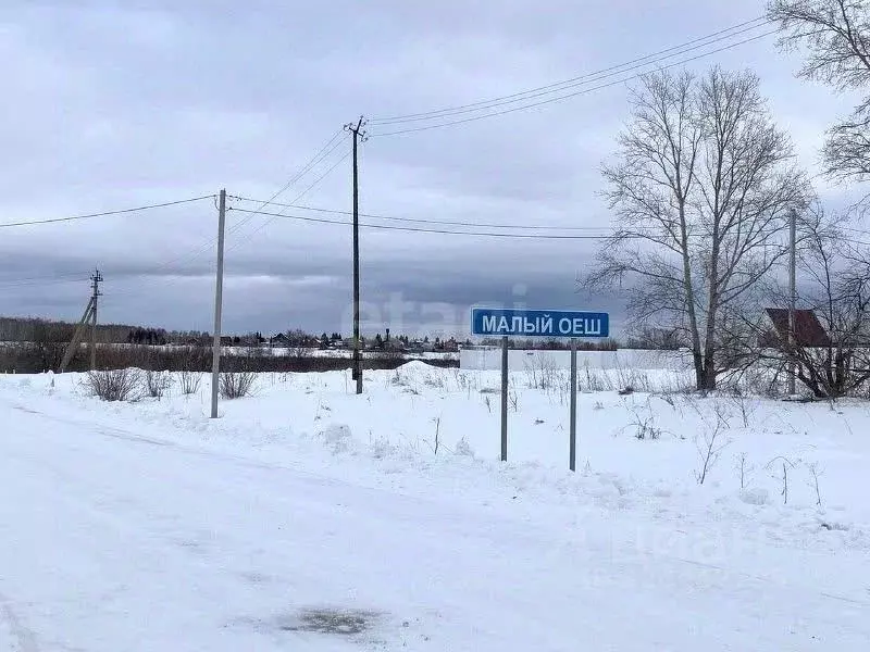 Участок в Новосибирская область, Колыванский район, д. Малый Оеш  ... - Фото 1
