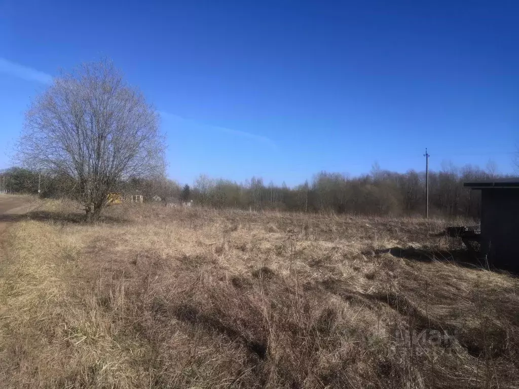 Участок в Новгородская область, Новгородский район, Ракомское с/пос, ... - Фото 0