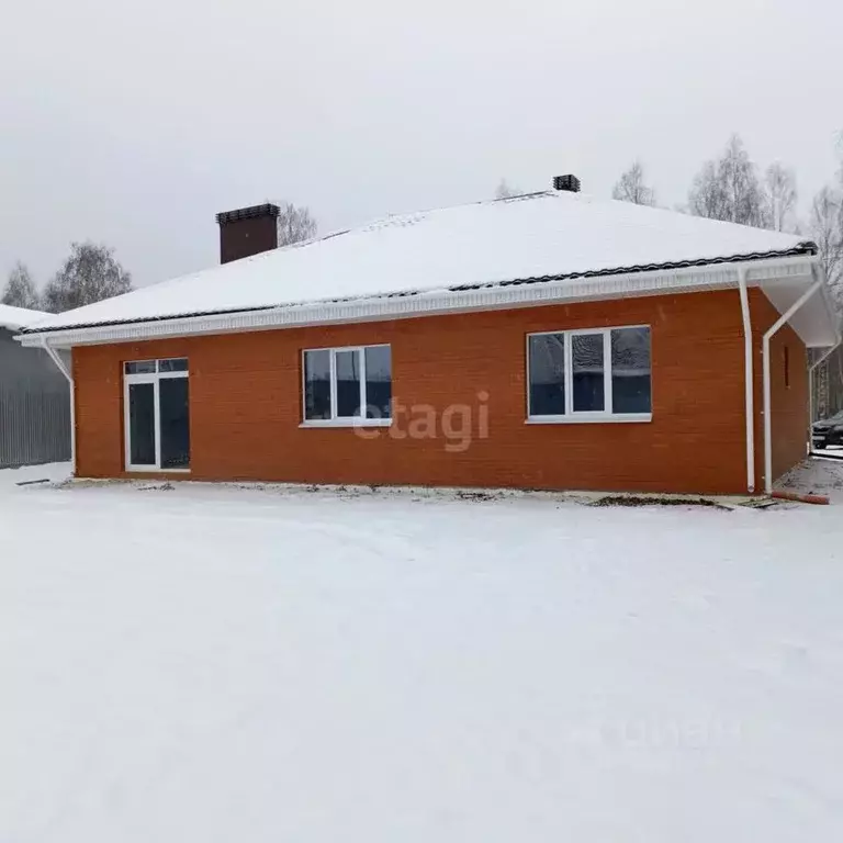 Дом в Нижегородская область, Выкса городской округ, с. Борковка, ... - Фото 1