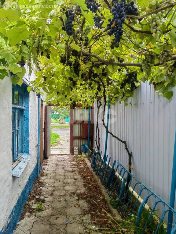 Дом в Анапа, улица Гоголя (35 м) - Фото 1