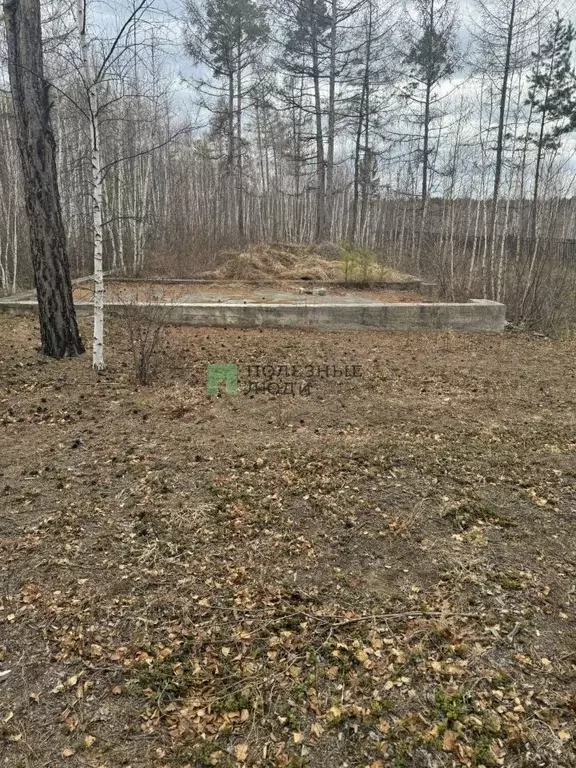 Участок в Забайкальский край, Читинский район, с. Смоленка  (20.0 ... - Фото 0