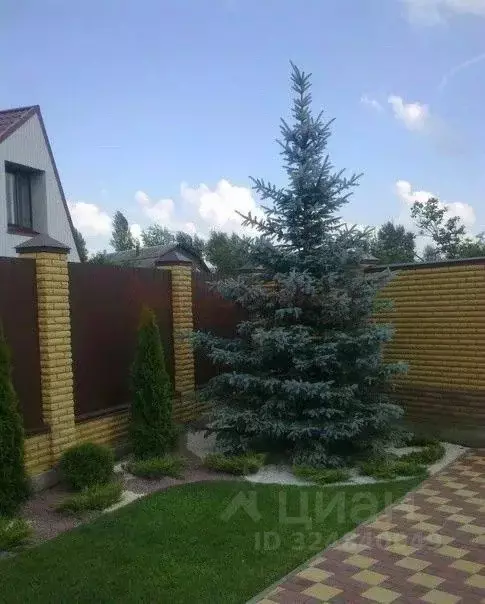 Участок в Ростовская область, Ростов-на-Дону ул. 1-я Володарского (5.1 ... - Фото 1