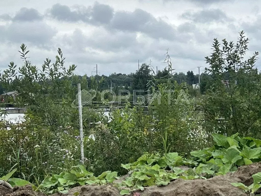 Участок в Тюменская область, Тюменский район, Москвичка СНТ ул. ... - Фото 0