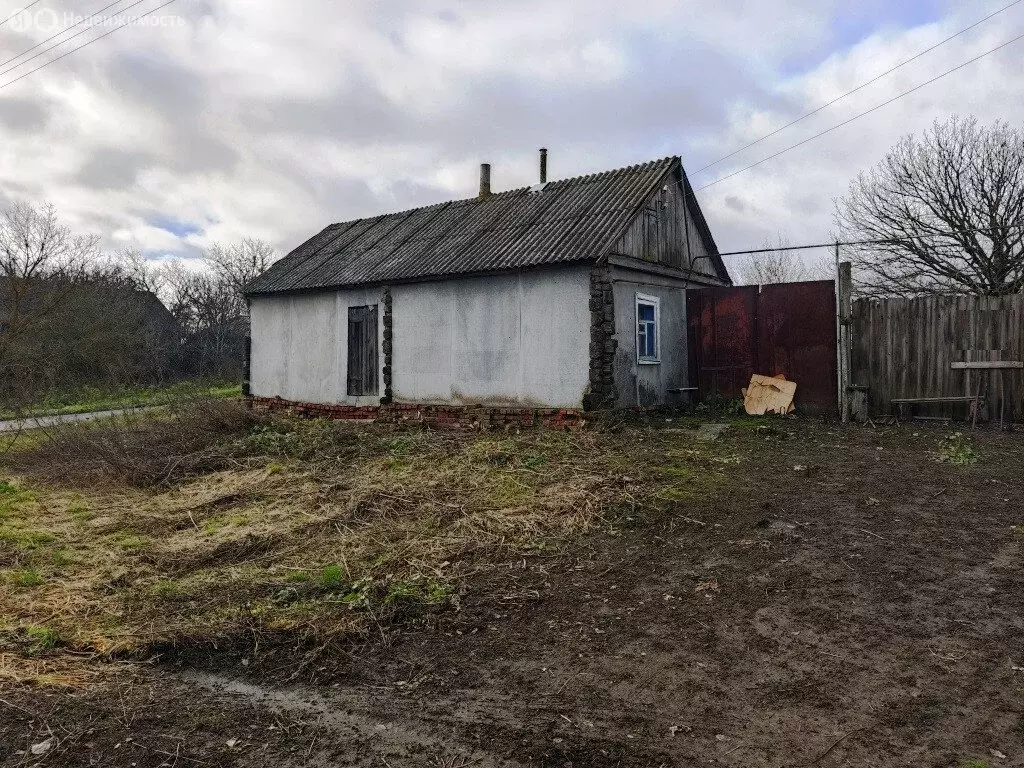 Дом в Высокский сельсовет, деревня Звягинцево (41.2 м) - Фото 1