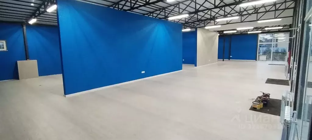 Торговая площадь в Свердловская область, Екатеринбург Заря СТ, 64 (295 ... - Фото 2