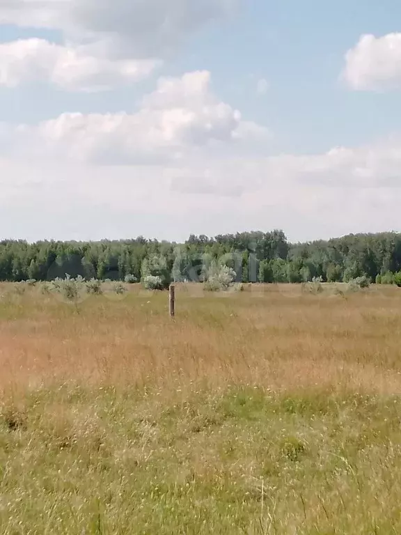 Участок 10 сот. (ИЖС) - Фото 0