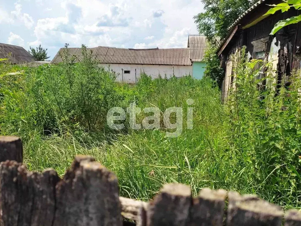 Участок в Белгородская область, Красногвардейский район, Ливенское ... - Фото 1