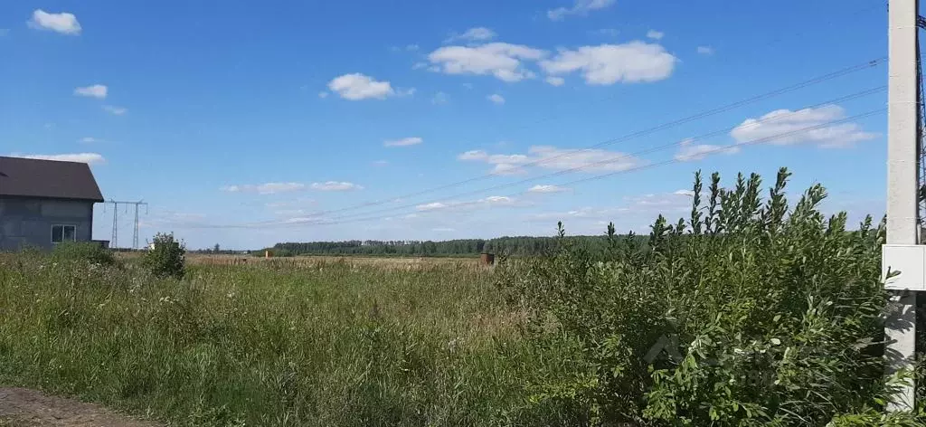 Погода красное поле сосновский. Красное поле Челябинская область. Участок.