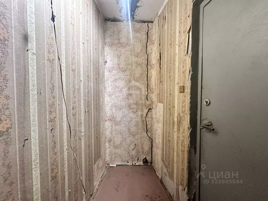 3-к кв. Санкт-Петербург ул. Жени Егоровой, 3К2 (69.0 м) - Фото 1