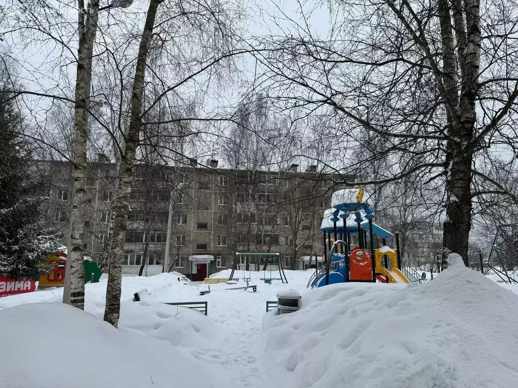 1-комнатная квартира: село Каменское, 18 (30.4 м) - Фото 2