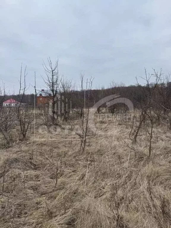 Участок в Воронежская область, с. Новая Усмань ул. Октябрьская (9.0 ... - Фото 0