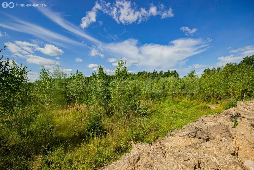 Участок в Московская область, 46Н-06488 (8 м) - Фото 1