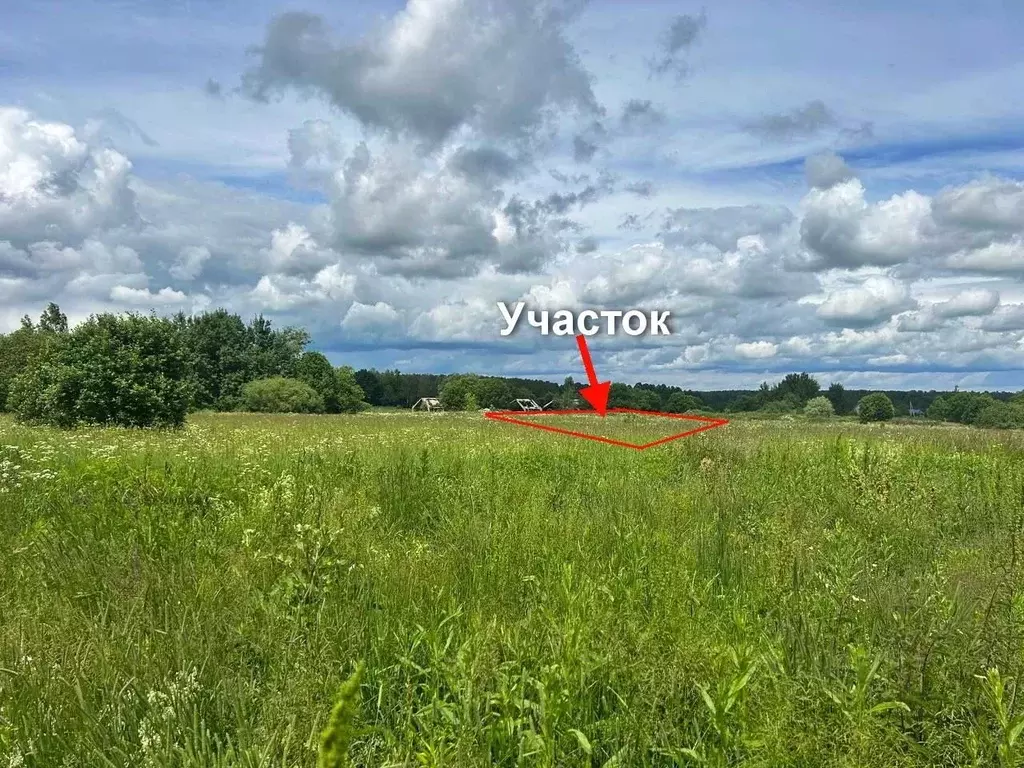 Участок в Тульская область, Заокский район, Демидовское с/пос, д. ... - Фото 1