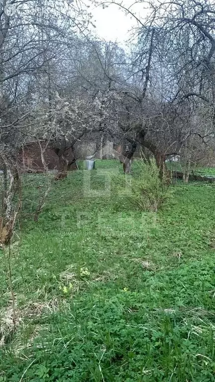 Участок в Ропшинское сельское поселение, садоводческий массив Новая ... - Фото 1