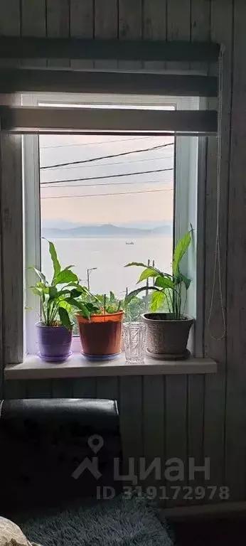 Дом в Камчатский край, Петропавловск-Камчатский ул. Беринга, 66 (30 м) - Фото 2