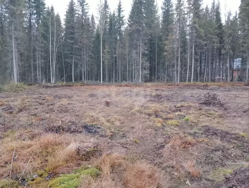 Участок в Коми, Сыктывкар Сиреневая ул., 20 (7.0 сот.) - Фото 2