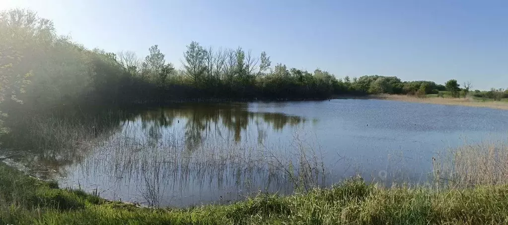 Участок в Ростовская область, Зерноградский район, Гуляй-Борисовское ... - Фото 2