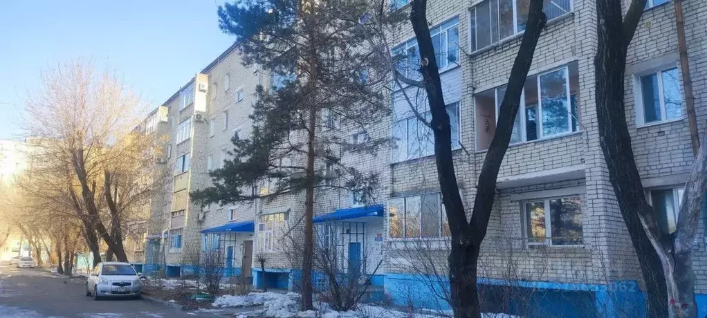 1-к кв. Амурская область, Благовещенск Институтская ул., 18 (33.3 м) - Фото 0