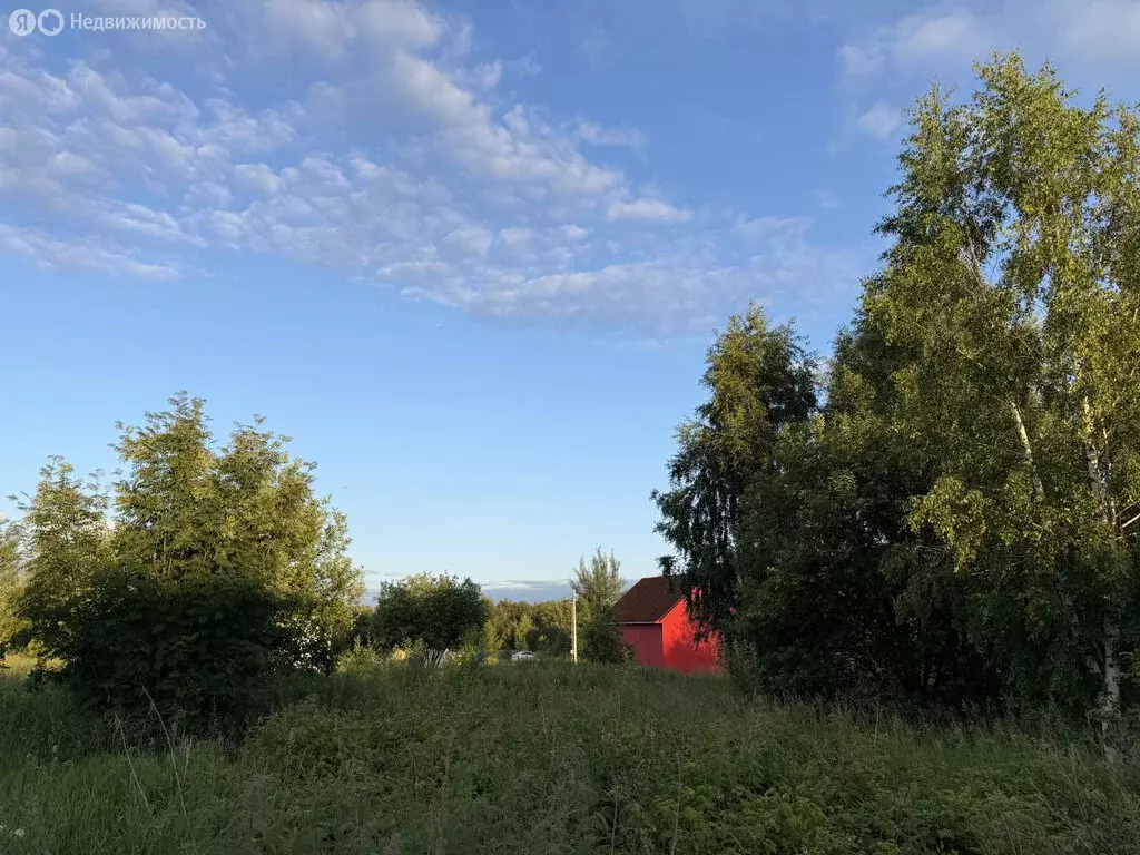 Участок в Пермский муниципальный округ, деревня Красава, Дачная улица, ... - Фото 1