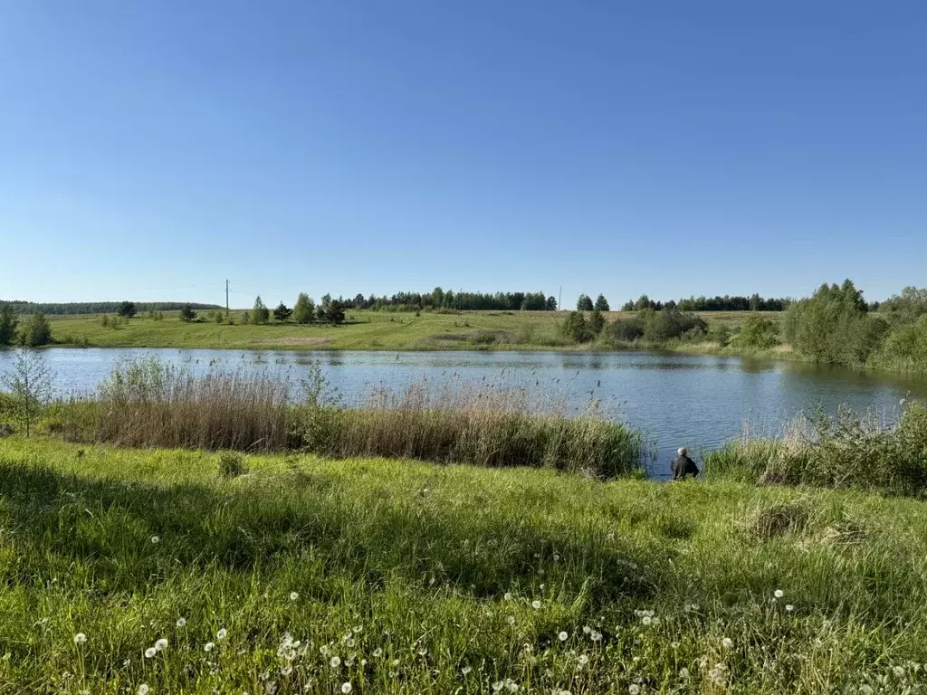 Участок в Нижегородская область, Богородский район, с. Спирино  (13.6 ... - Фото 1