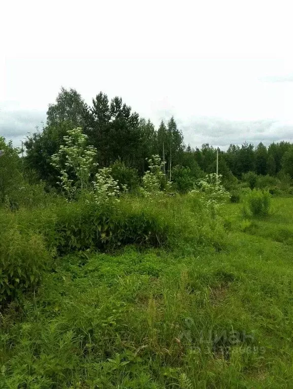 Участок в Свердловская область, Кировград Марина СНТ,  (9.0 сот.) - Фото 1