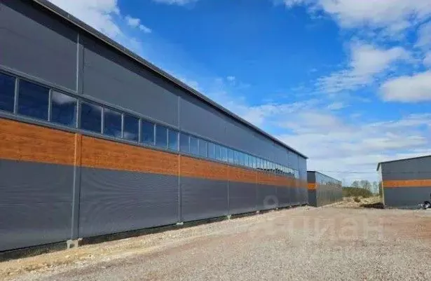 Склад в Ленинградская область, Тосненский район, Ульяновское городское ... - Фото 2