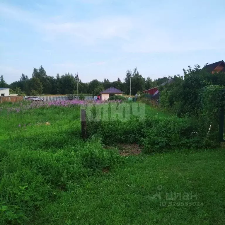 Участок в Вологодская область, Усть-Кубинский муниципальный округ, д. ... - Фото 1