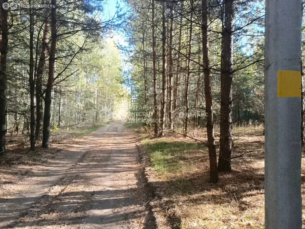 Участок в Рязанская область, Спасский муниципальный округ, ... - Фото 1