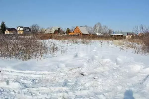 Участок в Тюменская область, Ялуторовский муниципальный округ, СО ... - Фото 2