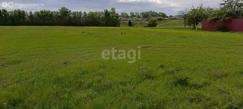 Участок в Волоконовский район, село Волчья Александровка (32 м) - Фото 0