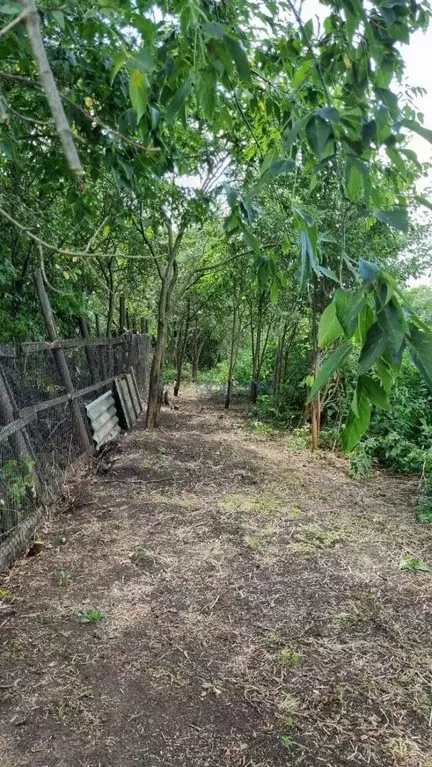 Участок в Нижегородская область, Нижний Новгород д. Никульское, ул. ... - Фото 2