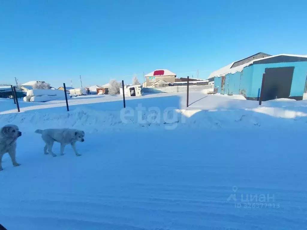 Участок в Ямало-Ненецкий АО, Новый Уренгой Фемида СНТ, ул. 1-я ... - Фото 1