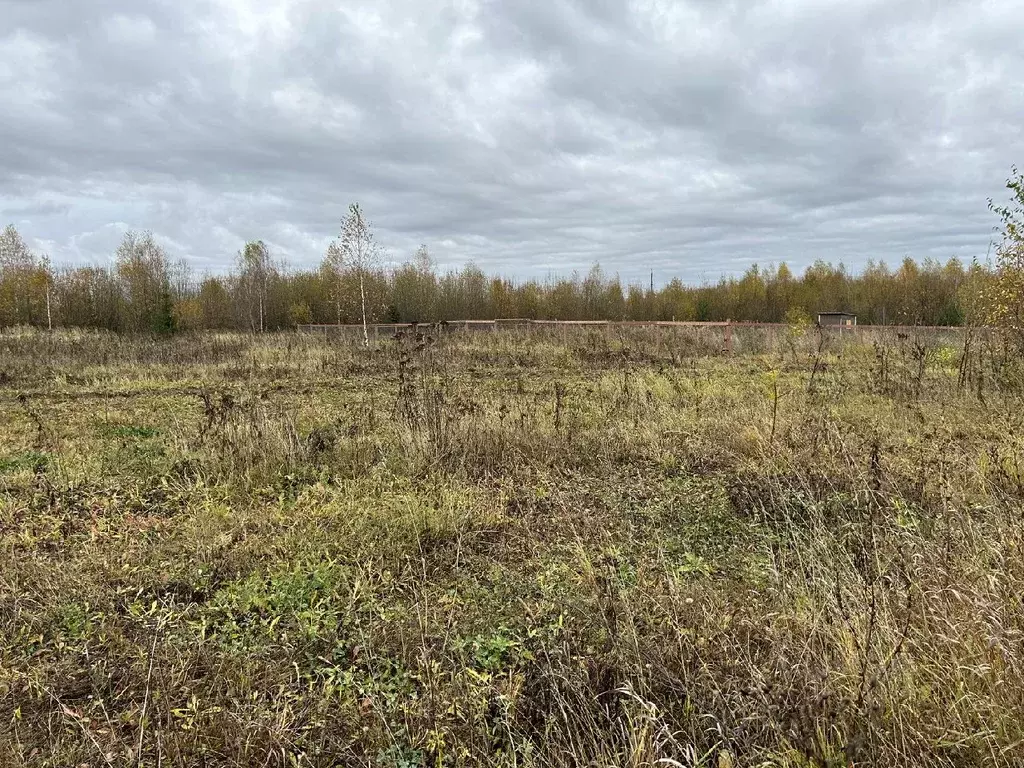 Участок в Владимирская область, Кольчугинский район, Бавленское ... - Фото 1