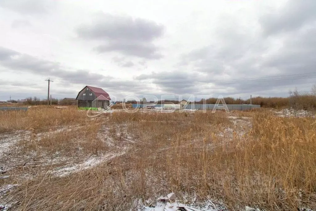 Участок в Тюменская область, Тюмень Рябинка-2 садовое товарищество, ... - Фото 1