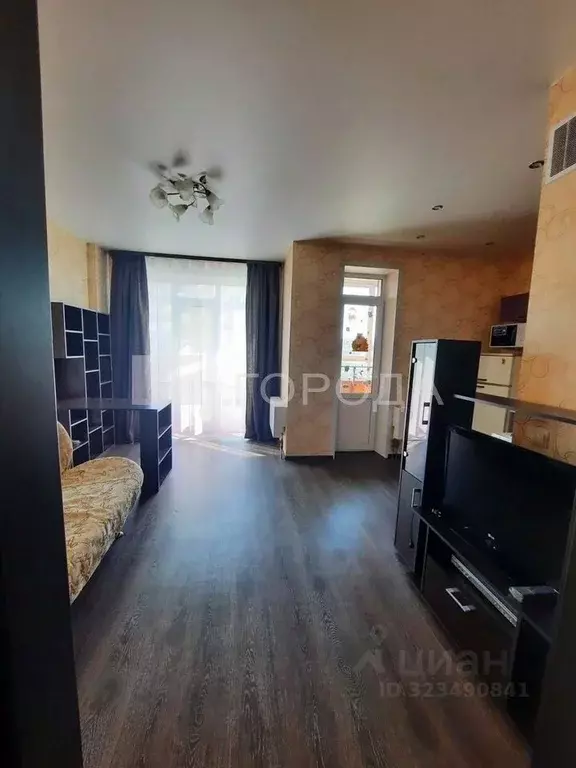 Студия Новосибирская область, Новосибирск Шлюз мкр, ул. Балтийская, 31 ... - Фото 1