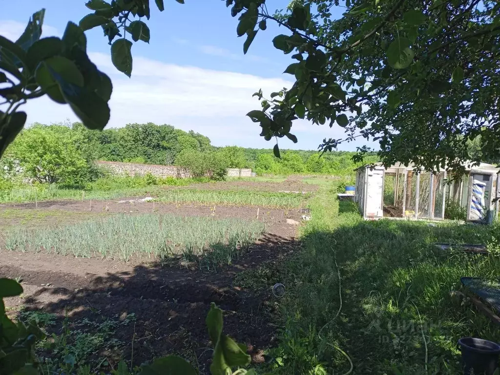 Дом в Самарская область, Ставропольский район, Севрюкаево с/пос, с. ... - Фото 2