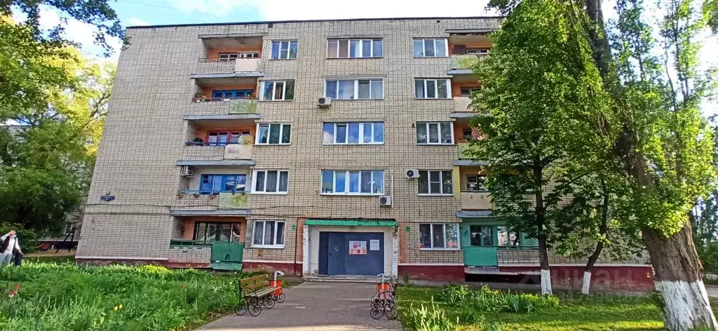 Комната Белгородская область, Белгород ул. Горького, 58 (13.0 м) - Фото 0