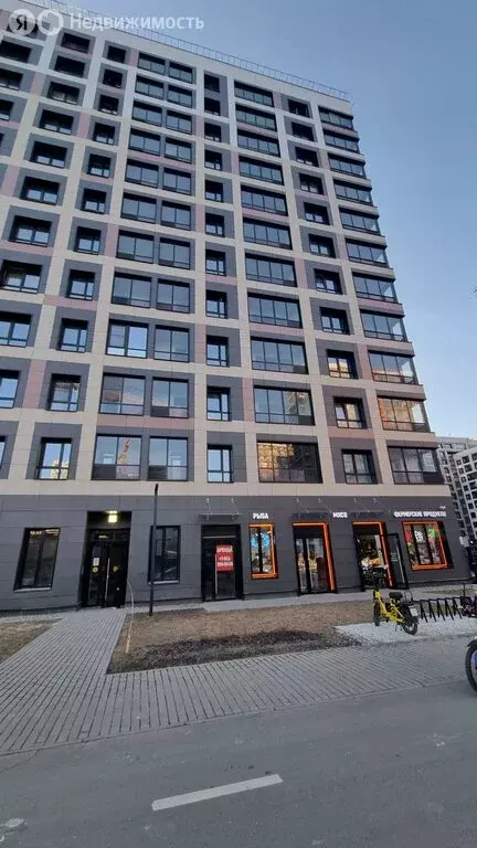 Квартира-студия: Санкт-Петербург, Среднерогатская улица, 11к2 (25 м) - Фото 2