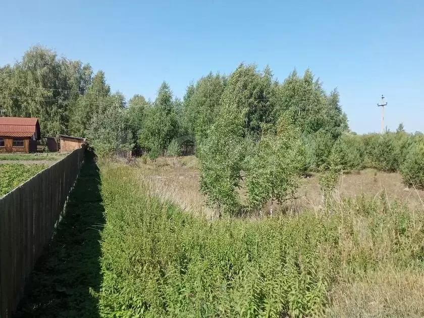 Купить Землю В Тюмени
