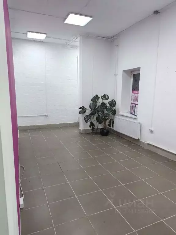 Помещение свободного назначения в Санкт-Петербург пос. Шушары, ул. ... - Фото 1