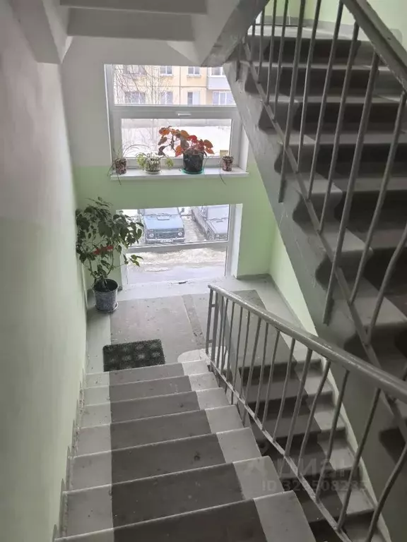 3-к кв. Карелия, Петрозаводск Кондопожская ул., 5 (58.8 м) - Фото 2