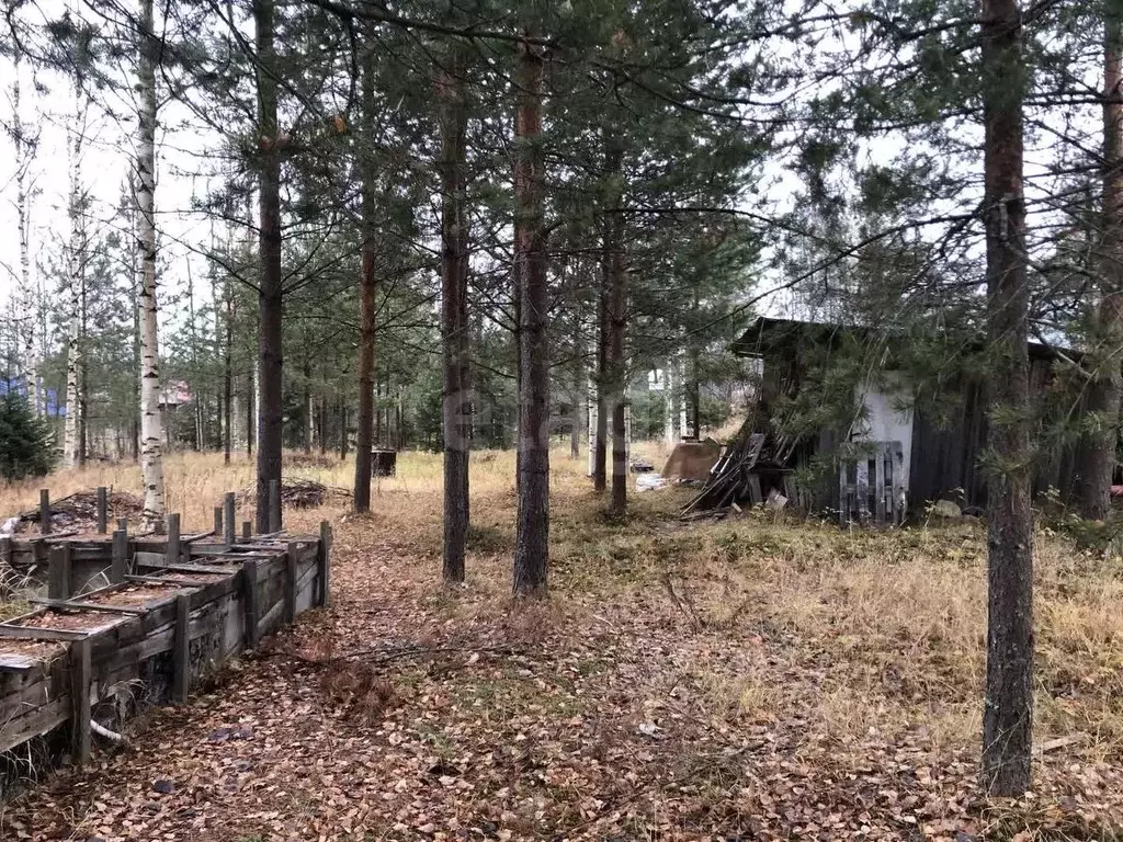 Участок в Коми, Сыктывдинский район, Выльгорт муниципальное ... - Фото 2