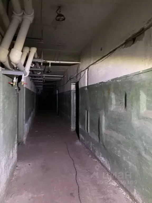 Помещение свободного назначения в Архангельская область, Котлас просп. ... - Фото 2