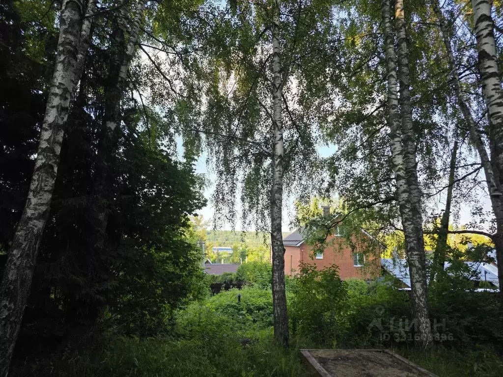 1-к кв. Московская область, Яхрома Дмитровский муниципальный округ, ... - Фото 2