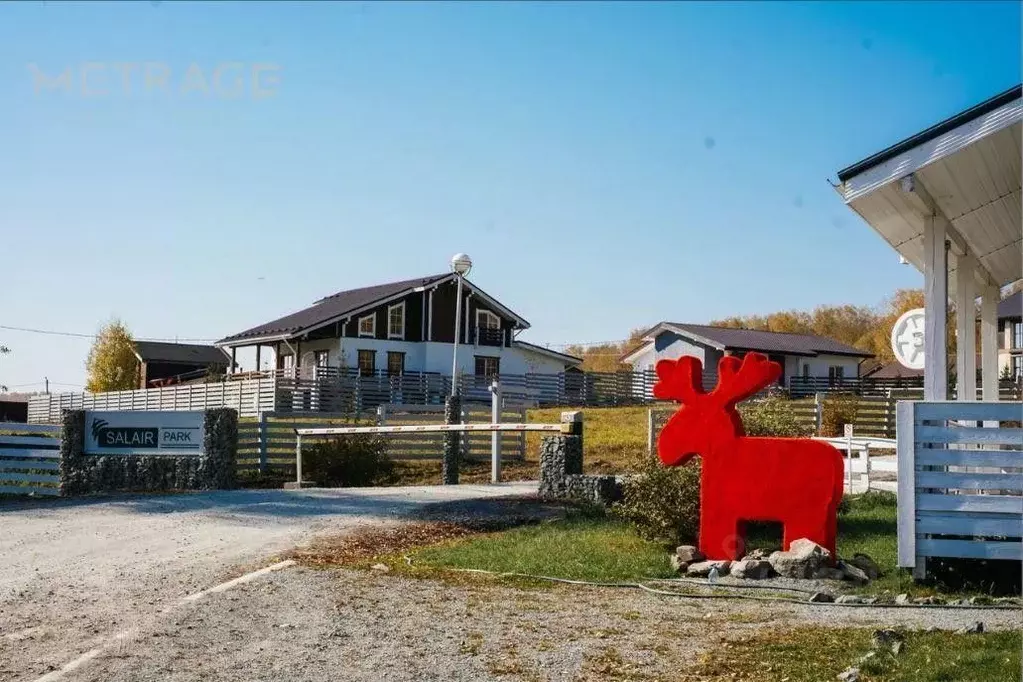 Участок в Новосибирская область, Новосибирский район, Плотниковский ... - Фото 2