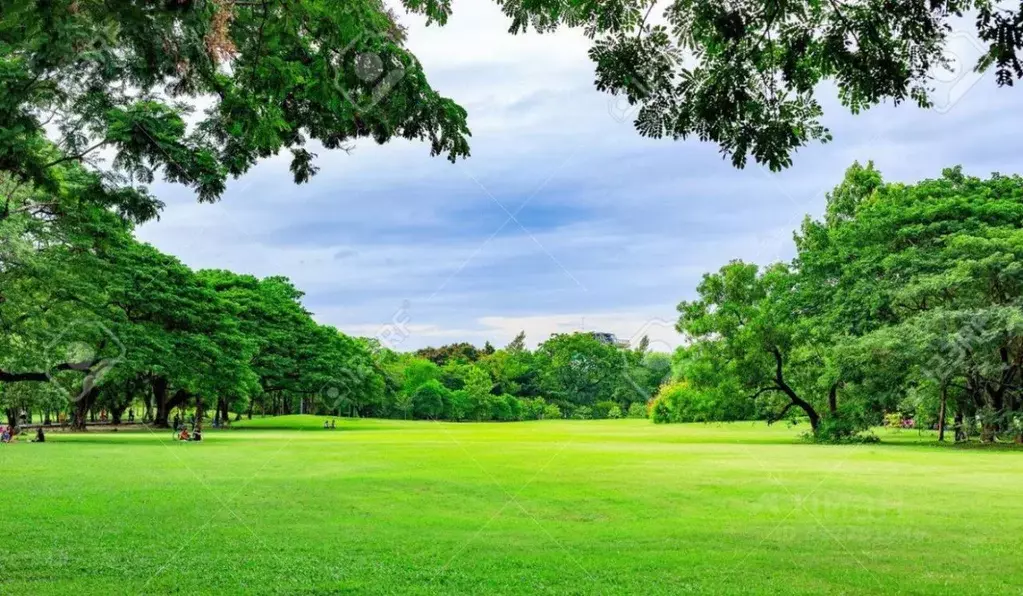 Участок в Ростовская область, Неклиновский район, с. Покровское ул. ... - Фото 1